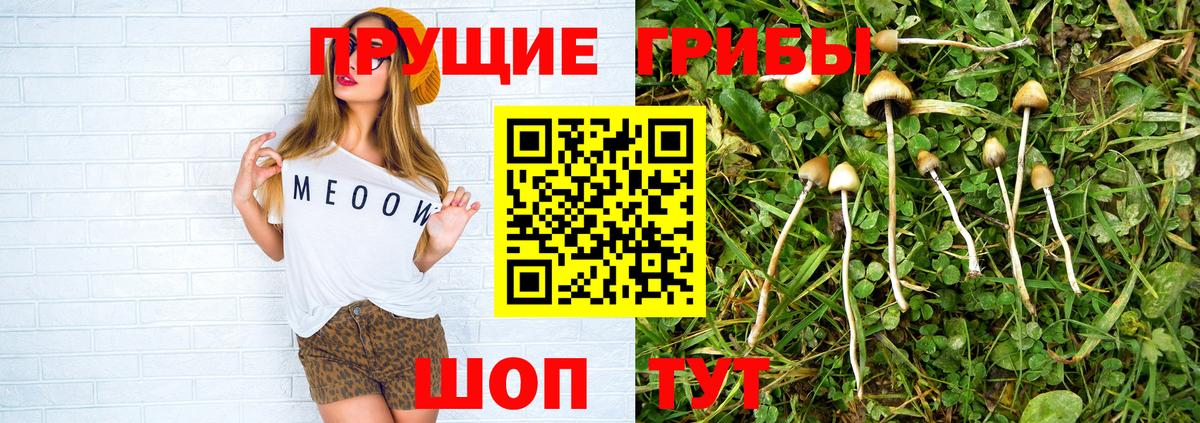 Галлюциногенные грибы мицелий  Вход с VPN  Похвистнево 
